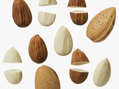 Almonds 3D model