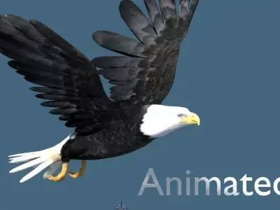 bald eagle animated 3D model