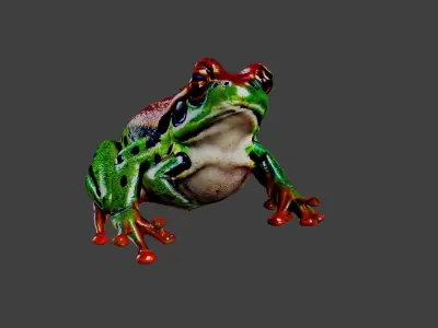 Frog Animal Low-poly 3D model