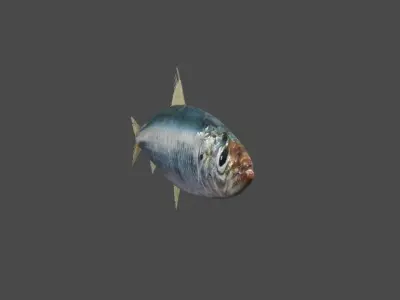 Fish - Sardine - Peixe Low-poly 3D model
