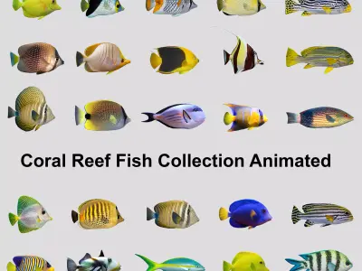 Coral Reef Fish Collection Animated - Game Ready Pack 9 Low-poly 3D model