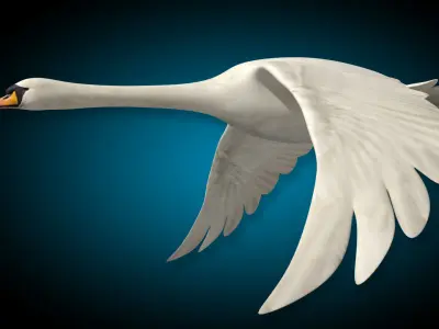 Swan  Flying 3D model