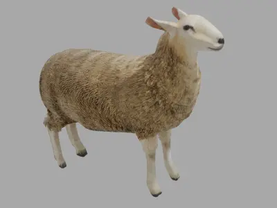 Sheep obj and blend Low-poly 3D model