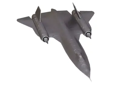 4K Lowpoly Blackbird in Maya Arnold Material Low-poly 3D model