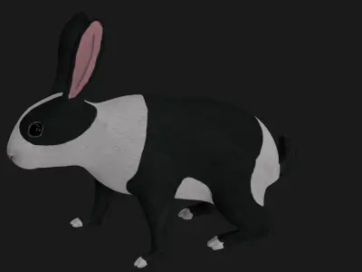 Black and white Rabbit low poly rigged  Low-poly 3D model