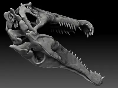 Spinosaurus 2020 version Skull Set Skeletons Sculpt Project 3D model