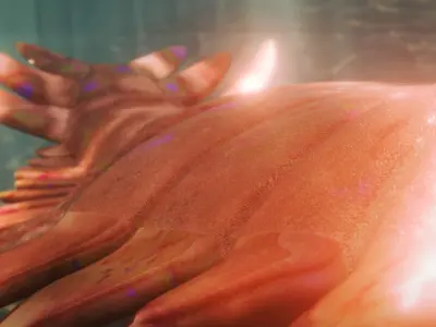 Anomalocaris Low-poly 3D model