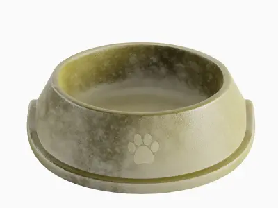 Used Metal Dog Bowl 05 3D model