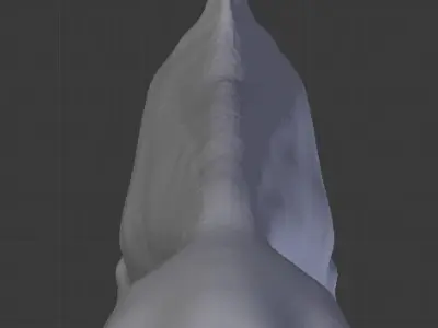 Dolphin Delfin Base 3D model