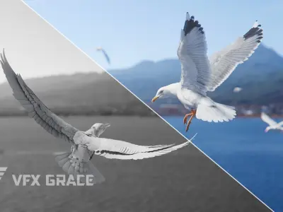 Seagull Animation - VFX Grace 3D model