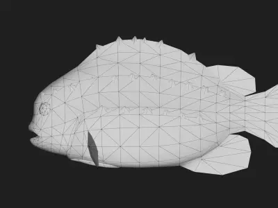 Lumpfish Low-poly 3D model