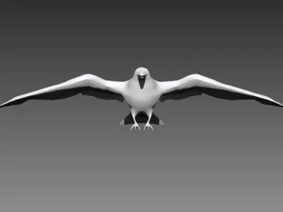 Crow base mesh for Zbrush 3D model