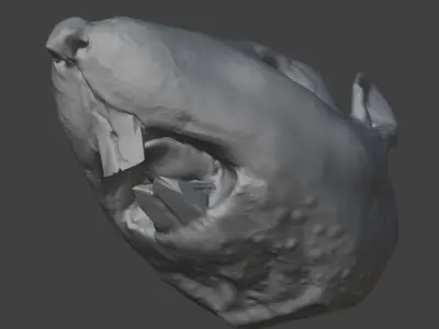 Rat Head 3D Model - Free High-Poly Sculpt Free 3D model