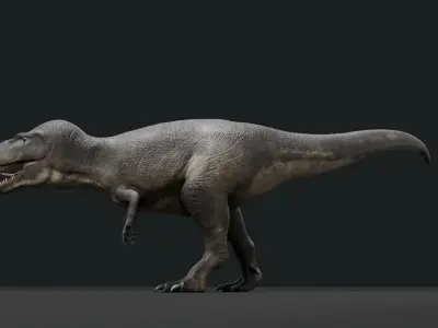 Daspletosaurus - Rig 3D model
