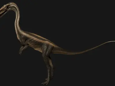 Coelophysis dinosaur Low-poly 3D model