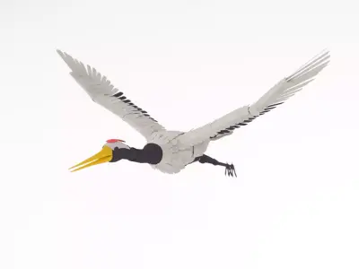 Stylized Stork - Animated Model 3D model