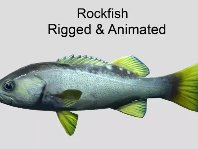 Rockfish Realistic Animated Low-poly 3D model