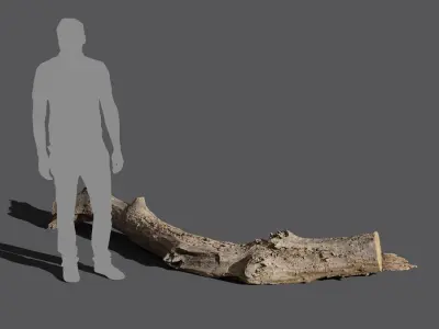  Medium Gnarly Splintered Log Model 