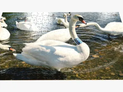 280-piece jigsaw puzzle 3D model