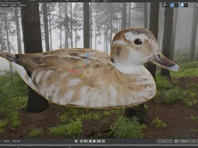 hunting duck Low-poly 3D model