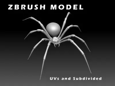 Black Widow Spider Low-poly 3D model