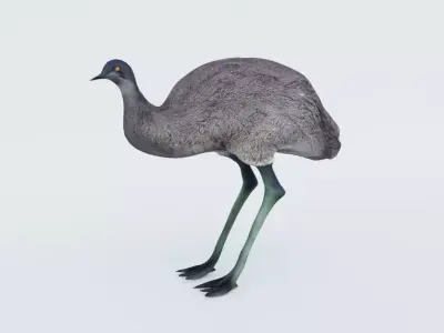 Emu Animal Free 3D model