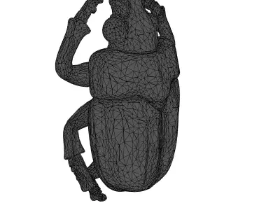 Realistic Turquoise Scarab Beetle 3D Model Low-poly 3D model