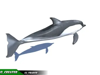 Low-Poly Dolphin Rigged Animated 3D model Low-poly 3D model