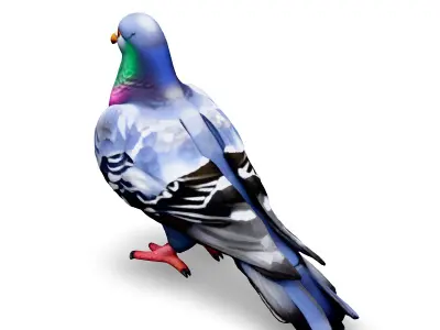 Realistic Animated Pigeon 3D Model Low-poly 3D model