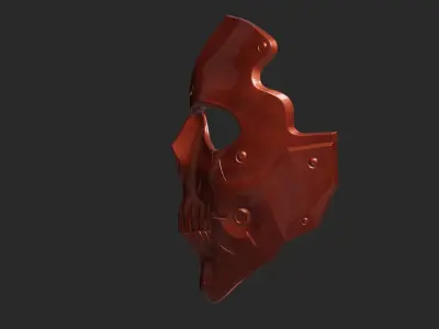 Skull DS Mask 3D print model