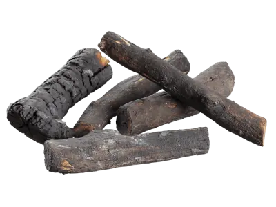  Fully Burned Natural Firewood Models Collection 