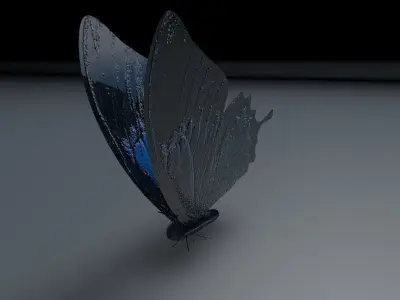 Blue Butterfly Low-poly 3D model