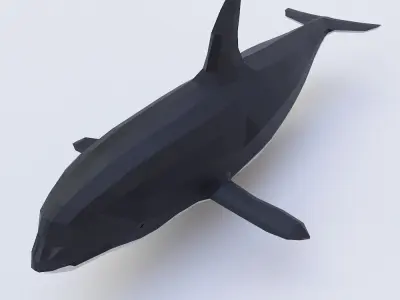 Killer Whale fish low poly 3d model  Low-poly 3D model