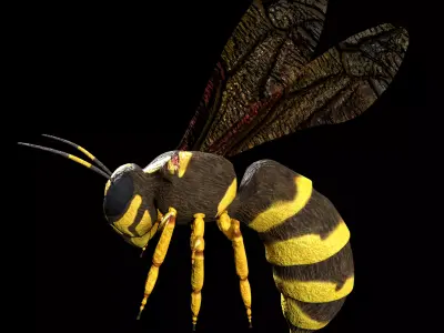 wasp low poly and fully rigged Low-poly 3D model