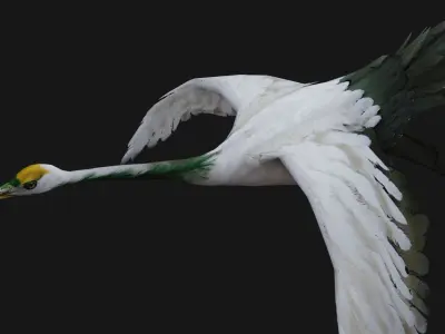 Crane Bird A4 3D model