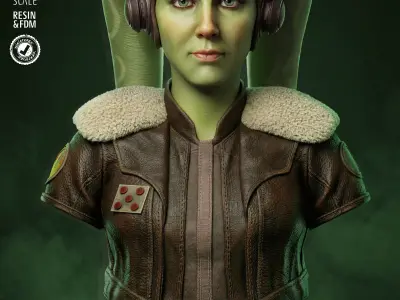 STAR WARS Hera Portrait Bust 3D print model