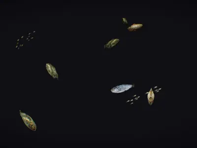 Fish Flock Fresh Water Fishes Animated Floating River Trout Low-poly 3D model