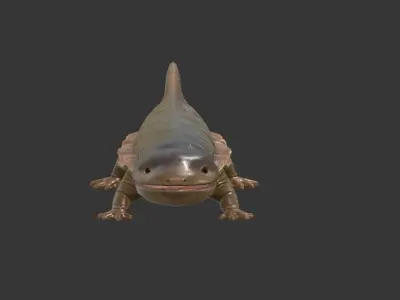 Giant salamander Low-poly 3D model