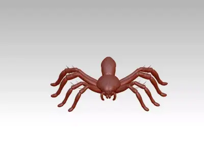 Spider insect 3D model