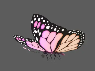 Flying Butterfly  Rigged Model 3D model