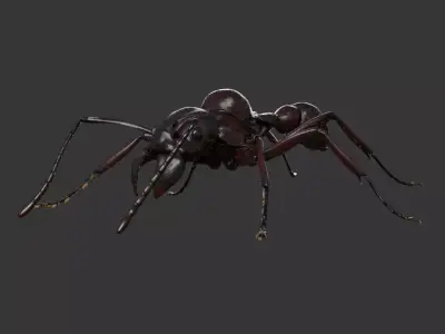 Ant Rig 3D model