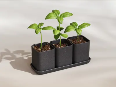 Small herbs plantern sysem - commercial licence 3D print model