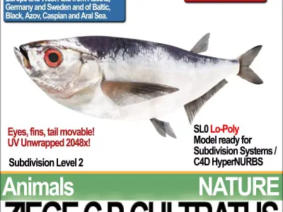 Ziege C zege cp cultivatus 3D model