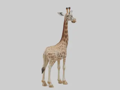 Masai giraffe Low-poly 3D model