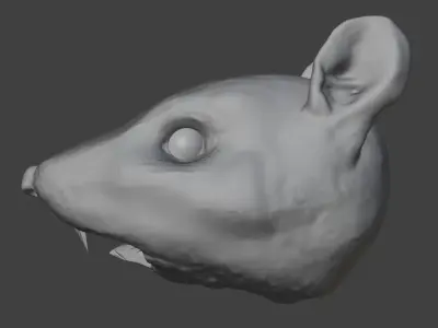 Rat Head 3D Model - Free High-Poly Sculpt Free 3D model