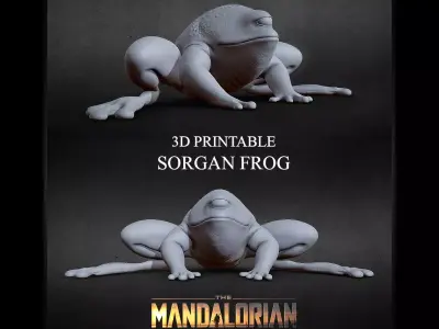 3D PRINTABLE SORGAN FROG MANDALORIAN BABY YODA 3D print model