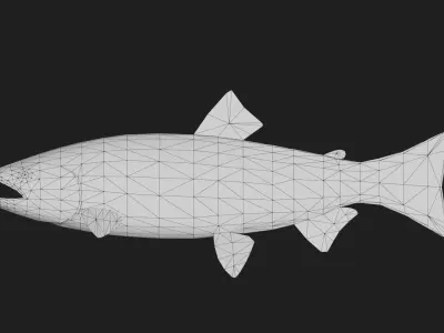 Salmon Low-poly 3D model