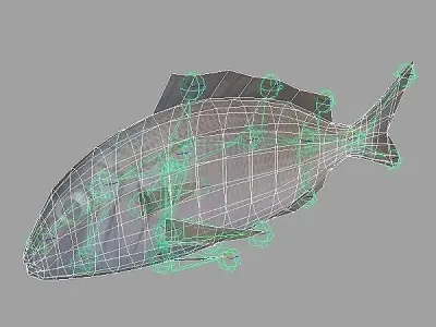 Pagar - Pagrus Pagrus Low-poly 3D model