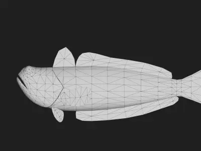 Starryweever Low-poly 3D model