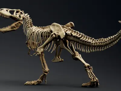 Dinosaur Trex Sue Skeleton Unreal Engine - Unity Projects 3D model